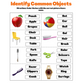 Do You Recognize Me? Common Objects: Digital Worksheets