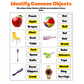 Do You Recognize Me? Common Objects: Digital Worksheets