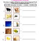 Compound Words: Let's Join Together and Make Something New! Worksheets