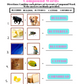 Compound Words: Let's Join Together and Make Something New! Worksheets
