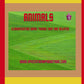 Animals - Classification Game: Things that are related! Worksheets